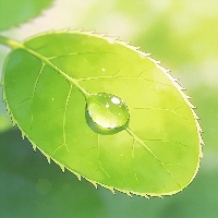 王*生